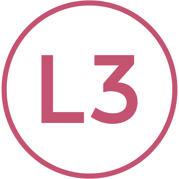 niveau L3